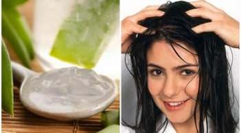 5 công thức ủ tóc dễ thực hiện tại nhà, giúp cải thiện tình trạng tóc khô xơ