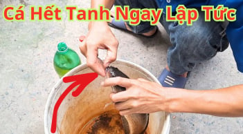 Kho bất kỳ loại cà nào chỉ cần ngâm qua thứ nước này: Cá hết sạch mùi tanh, thơm ngon chắc thịt