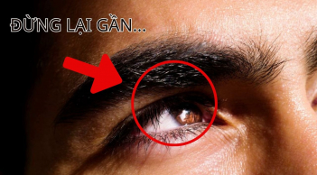 Người lông mày thô rậm, tràn xuống bờ mi chớ dại làm thân, vì sao?