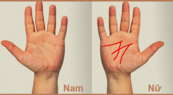 Dự đoán tương lai giàu nghèo qua những đường vân đặc biệt trong bàn tay