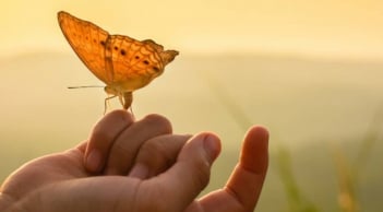 Cổ nhân dạy: 2 việc không nên đợi và 2 thứ không nên sợ hãi trong cuộc sống