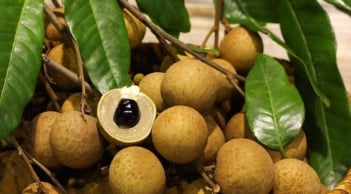 6 người không nên ăn quả nhãn