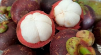 Những ai không nên ăn măng cụt?