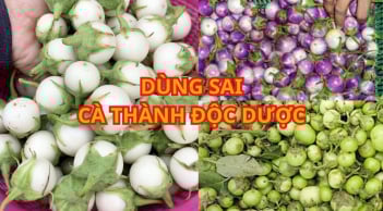 3 thói quen ăn cà khiến '1 quả cà tốn 3 thang thuốc'. Mách mẹo tránh biến món cà pháo ngon thành độc dược