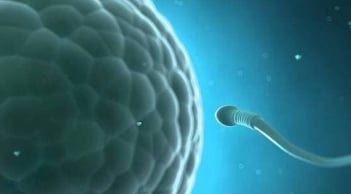 Nam giới nên xuất binh 3–5 ngày/lần: Lợi ích bất ngờ cho sức khỏe sinh lý & tinh thần