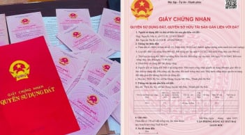 Năm 2025: Không có hộ khẩu có được cấp sổ đỏ không?