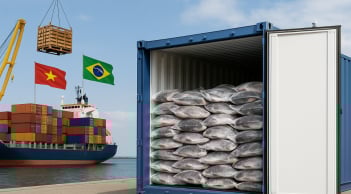 Một loại cá quen thuộc ở Việt Nam, giàu protein hơn cá hồi, vừa được Brazil nối lại nhập khẩu