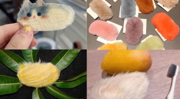 Trào lưu biến hạt xoài vứt đi thành thú cưng quý như 'cục vàng': Độc lạ và đầy thú vị!