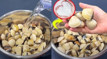 Rửa ngao ốc, người cho ớt, người cho rượu, sai hết: Thêm vào thứ này ngao ốc nhả sạch bẩn