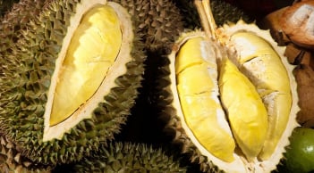Người mắc 5 bệnh này tuyệt đối không nên ăn sầu riêng