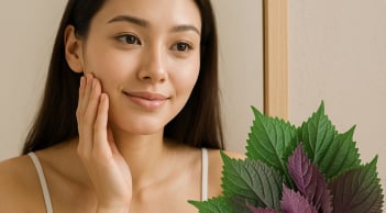 5 cách dùng rau tía tô giúp Da Sáng bóng, Sạch mụn, đều màu da