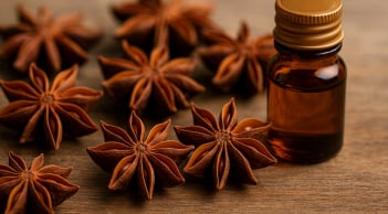 Thứ quả tưởng chỉ để nấu phở, Việt Nam xuất khẩu gần 22 triệu USD trong 4 tháng, Ấn Độ mê mẩn