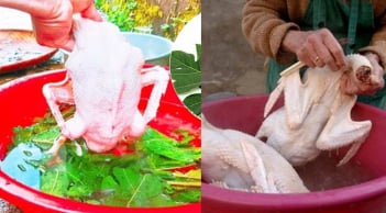 4 Mẹo làm sạch lông vịt, nhổ sạch lông măng, thịt không bị hôi