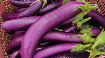 7 nhóm người không nên ăn cà tím
