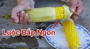 Luộc ngô không cần đường: Người bán tiết lộ cách luộc đơn giản ngô dẻo, ngọt, thơm nức mũi
