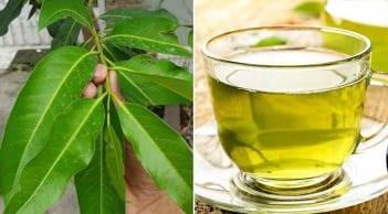 Uống nước vối thường xuyên có tốt không, giúp trị bệnh gì?