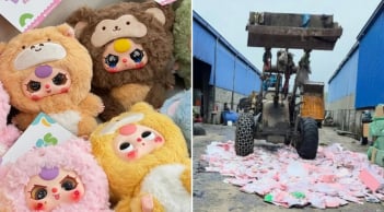 Tiêu hủy gần 2.000 con Baby Three chứa Formaldehyde vượt mức cho phép: Chất này nguy hiểm như thế nào?