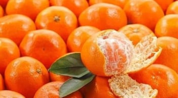 4 loại trái cây được chuyên gia khuyên dùng để hỗ trợ làm sạch phổi, chữa ho và cải thiện hô hấp