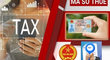 Kể từ 1/7/2025: Số định danh cá nhân thay cho mã số thuế đối với hộ gia đình, hộ kinh doanh và cá nhân