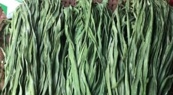 Cả chợ có một loại rau đắt hơn thịt, bổ ngang tổ yến, Việt Nam nhiều mà ít người biết đến