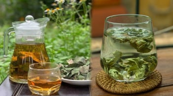 Lấy nắm lá này đun nước uống, mỗi ngày một cốc giúp giảm mỡ máu