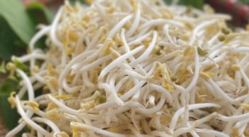 4 loại rau bổ hơn thịt, rẻ hơn thuốc, quý như nhân sâm – nhiều người bỏ qua mà không biết