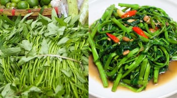 Loại rau giá rẻ đang vào mùa được ví như 'nhân sâm bình dân' của người Việt: 5 lý do nên ăn thường xuyên