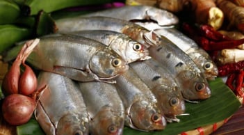 Thấy 7 loại cá này ở chợ phải mua ngay: Dinh dưỡng ngang nhân sâm, rẻ hơn tổ yến, lại không hóa chất