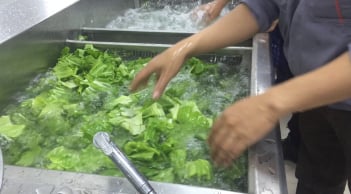 Rửa rau đừng ngâm nước muối, muốn rau sạch, hết thuốc cứ thêm 1 bước này