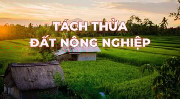 Kể từ bây giờ: Người dân muốn tách thửa đất nông nghiệp cần lưu ý điều này