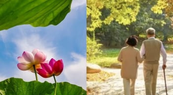 4 con giáp hạnh phúc nhất khi về già: Vạn sự như ý, khỏe mạnh sống lâu, tiền vàng đầy két