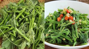 Rau bí – “thuốc bổ gan” dân dã, giàu sắt hơn cả thịt bò