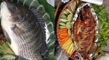 Cá rô phi – “gà nước” bình dân mà bổ xương khớp chẳng thua gì thuốc