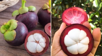 Mẹo chọn măng cụt ngon: Nhìn vào điểm này biết quả nào nhiều múi, căng mọng, vỏ mỏng
