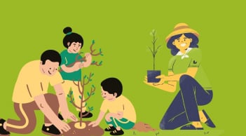 Người xưa có câu: 'Giàu trồng cây nghèo trồng cỏ', nghĩa thực sự là gì?