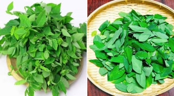 Tại sao khi nấu rau ngót, phải vò lá rau trước khi nấu?
