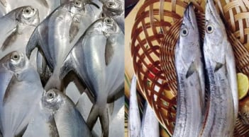 4 loại cá tự nhiên 'không nuôi nổi' nhưng giá rẻ bất ngờ, thịt ngon miễn bàn – gặp là nên mua ngay