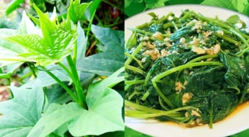 Loại rau trước thường cho lợn ăn nay thành món ăn đồng quê tốt như thần dược, bổ hơn nhân sâm tổ yến