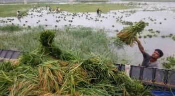 Ngày mùng 6 tháng 6 âm lịch sợ mưa: Lý do người xưa kiêng kỵ, điềm báo gì nếu trời đổ mưa?