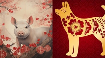3 con giáp tuổi già không bệnh tật, thọ lâu, càng về trung niên càng giàu, của cải 3 đời không hết