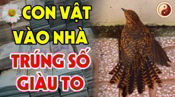 5 con vật Đệ Tử Thần Tài, đến nhà là Trúng Số giàu to