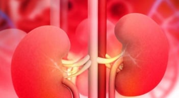 Gia tăng Suy Thận ở Người trẻ, một thói quen cực hại thận mà nhiều người đang mắc