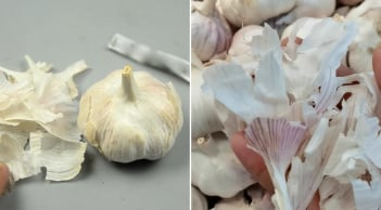 Vỏ tỏi có 4 công dụng bất ngờ, cả nam và nữ đều cần, vứt đi là lãng phí