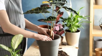 5 thứ phá tan Đại Vận, giữ cố trong nhà vợ chồng tối ngày cãi vã