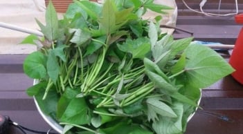 Đi chợ thấy 8 loại rau này thì đừng bỏ qua: Rau sạch, bổ dưỡng, ít nguy cơ tồn dư thuốc