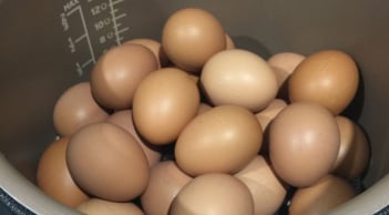 Mách bạn 2 cách luộc chín trứng mà không cần nước