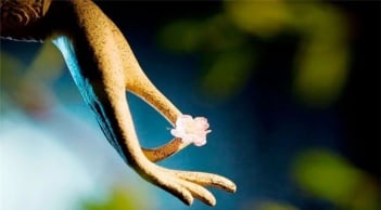 Con đường duy nhất để cải biến vận mệnh là hành thiện tích đức, cải biến nhân tâm
