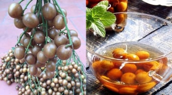 Loại quả giá vài nghìn đồng đang vào màu được ví như nhân sâm của người nghèo, tốt như tiên dược