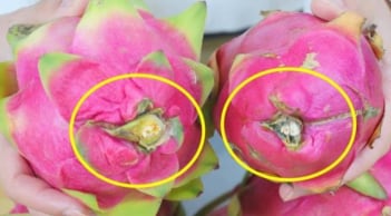 Mẹo chọn thanh long ngọt lịm: Nhớ 5 điểm này, không bao giờ mua nhầm