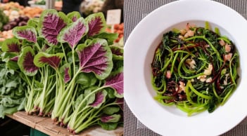 Loại rau 'trường thọ' giá vài nghìn bán đầy chợ: Canxi gấp 3 lần sữa, 'thần dược' cho xương khớp